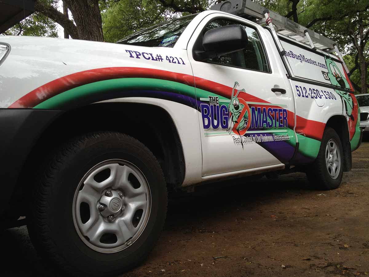 Will the Mild Winter Effect Pest Control in Texas? [The Bug Master]