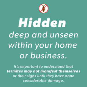 Image saying: "It’s important to understand that termites may not manifest themselves or their signs until they have done considerable damage."