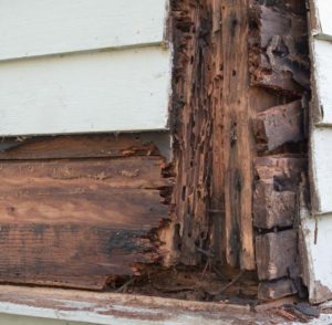 Termite damage to home.