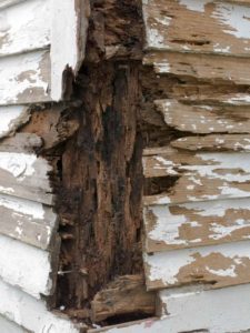 Rotten, decayed, termite damaged siding on a home.