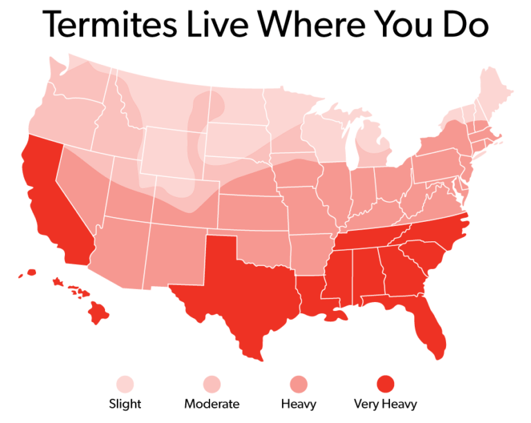 Termite Preventionextermination Services Austincentral Texas Andhouston 1817