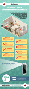 Infographic explaining how to inspect your hotel room for bed bugs.