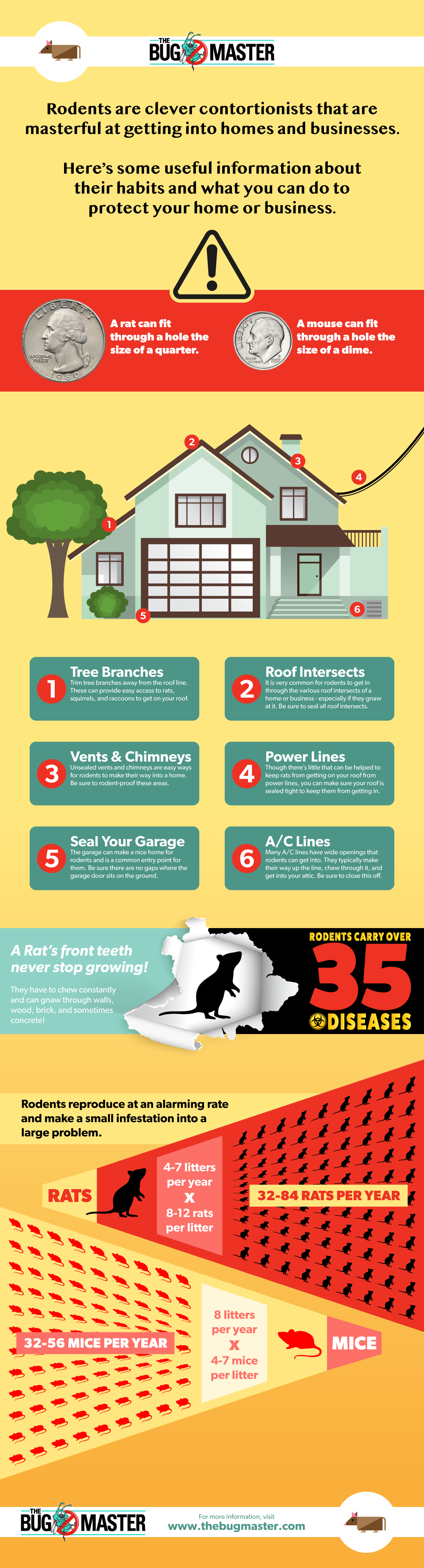 How To Keep Rodents Out Of Your Home Infographic