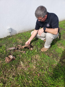 A Bugmaster employee inspecting the ground and determining the best way on how to prevent termites. 