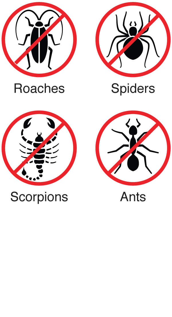 General Pest Protection General Pest Protection includes ants, spiders, scorpions, and roaches.