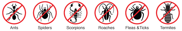 plus-termite-protection-icons--(mobile)