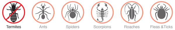 termite-pest-protection-icons-(mobile)