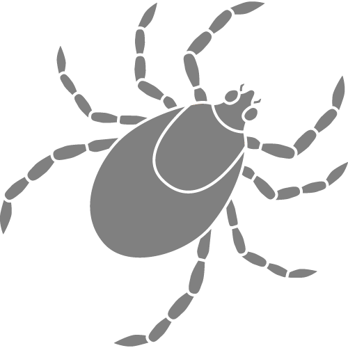 Graphic demonstrating a tick pest control service.