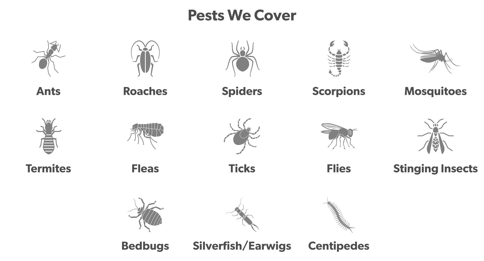 pests-we-cover-2