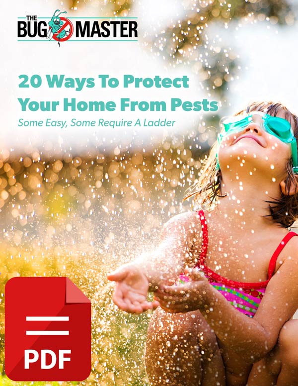 20-Ways-To-Protect-Your-Home-From-Pests-1-w-pdf-icon