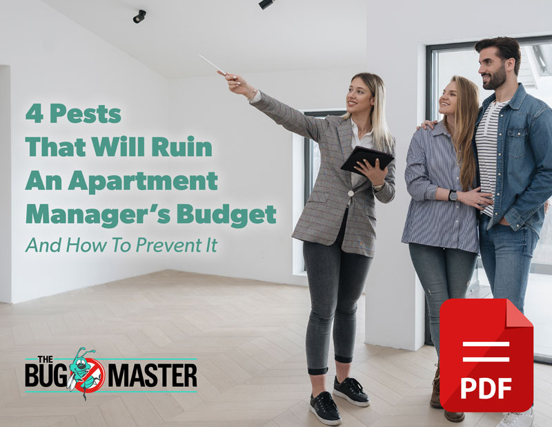 4-Pests-That-Will-Ruin-An-Apartment-Managers-Budget-And-How-To-Prevent-It-1-w-pdf-icon