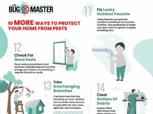 Infographic showing 10 more ways to prevent pests