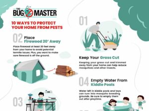 Infographic excerpt detailing 10 ways to prevent pests