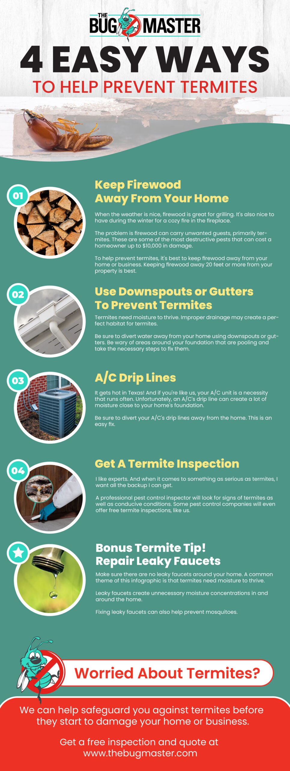 Infographic showing 4 easy ways to prevent termites