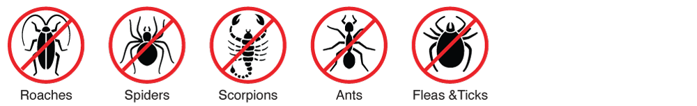 pest-plus-protection-(mobile)