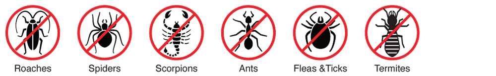 termite-plus-pest-protection-(mobile)