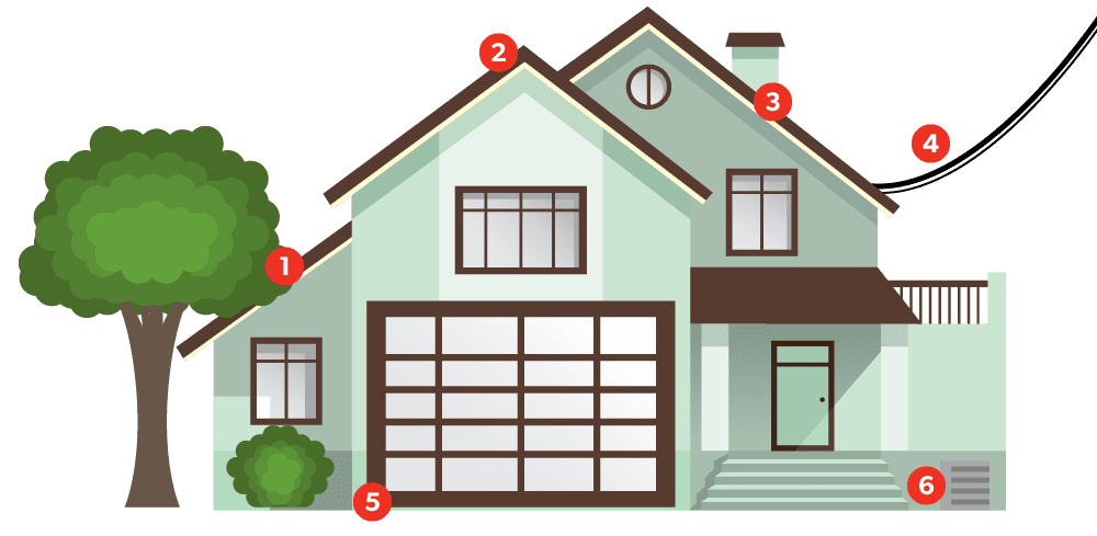 Infographic showing the 6 most common entry points of rodents into your home.