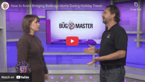 Rosie Newberry Talks Bedbug Travel Risks with Dauphin Ewart